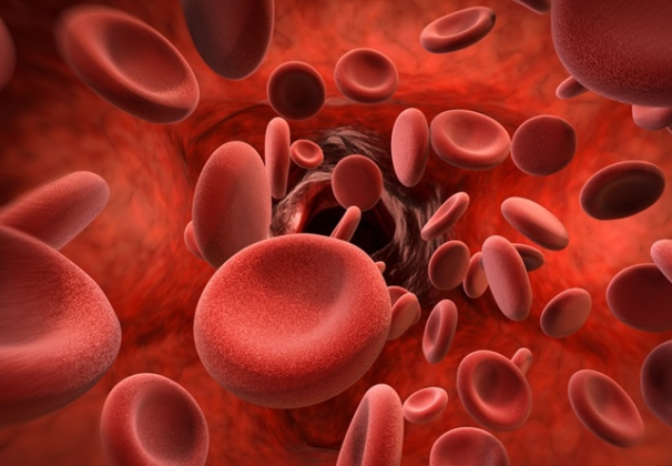 Mengenal Thalasemia Penyakit Kelainan Sel Darah