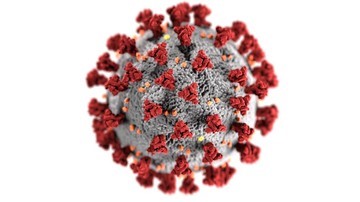 Kemenkes menyatakan 3 varian baru virus corona mauk Indonesia