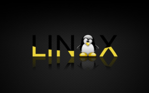 Mengapa Kekuatan Terbesar Linux Juga Merupakan Kelemahan Terbesarnya_2