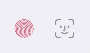 Rumor iPhone 13, Akankah Hadir Dengan Fitur Touch ID Dalam Layar_2